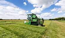 Under-performing grass? Find a new variety to boost production